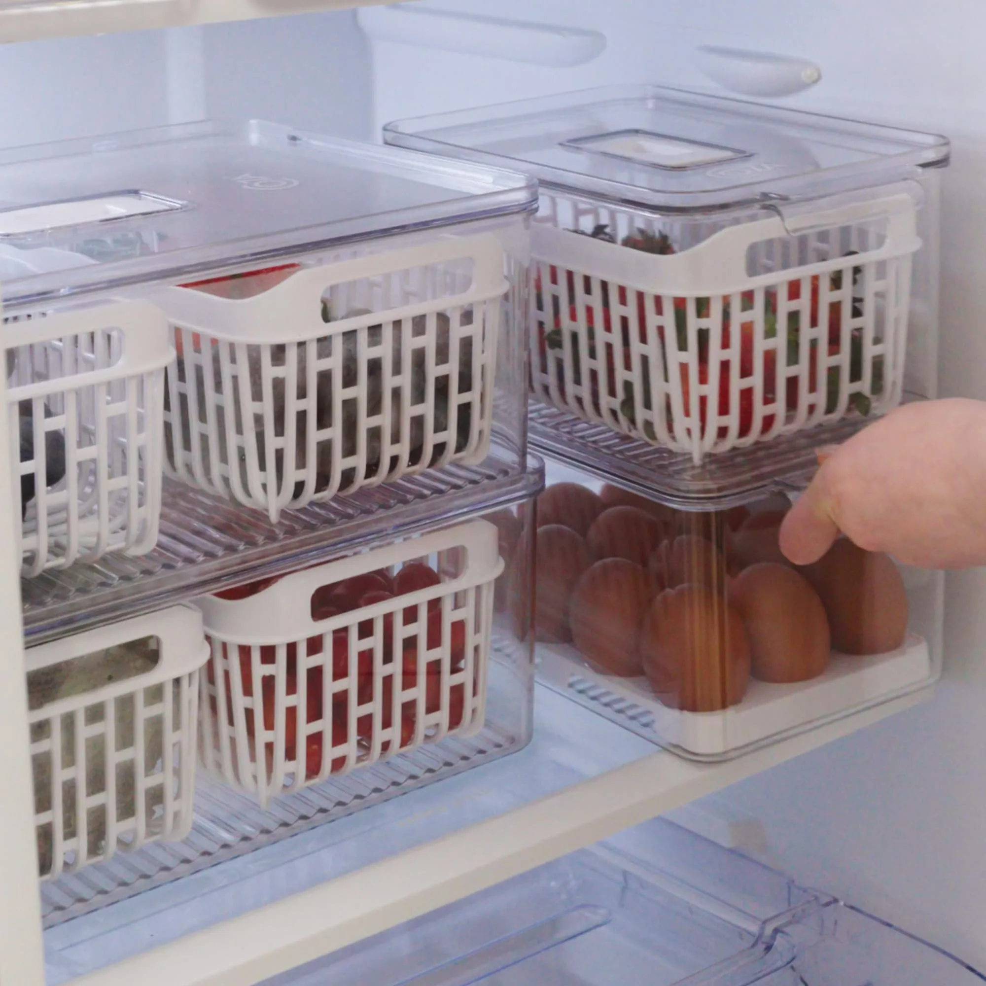 Organizador de Geladeira Dry